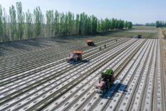 <b>科技绘就新疆春耕新图景</b>
