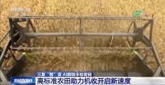 “三夏”AI智能体带您解锁丰收暗码！