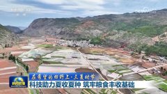 <b>【正在但愿的郊野上·三夏时节】科技帮力夏收夏</b>